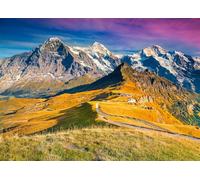 Jungfrau Jigsaw Puzzles for Adults 1000 Jigsaws Monch Eiger North Face 1000 Piece Jigsaw Puzzles for Adults Age 14+