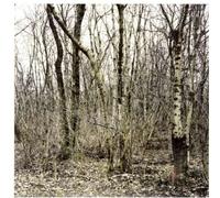 Junghanß - Junghanß - Naked - 1st Decade Records - 1st 019