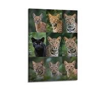 Jungle Beasts Poster Felines Leopard Cheetah Cougar Poster Decorative Painting Canvas Wall Posters And Art Picture Print Modern Family Bedroom Decor Posters 16x24inch(40x60cm)