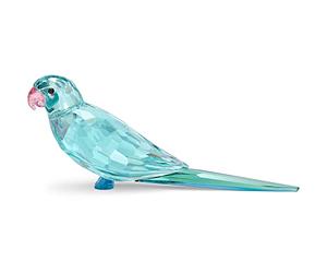 Jungle Beats Blue Parakeet Paco 5574519