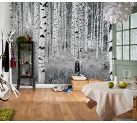 Jungle botanical green forest Wallpaper Mural Photo Children Kid Poster wall art