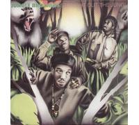 Jungle Brothers - Straight Out the Jungle [VINYL]