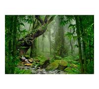 Jungle Forest Photography Backdrop Rainforest Huge Trees Natural Landscape Background Outdoorsy Camping Theme Party Backdrops Spring Mysterious Jungle Stream Background Adult Studio Props 15x10ft