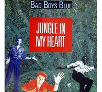 Jungle in my heart [VINYL]