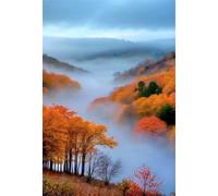Jungle Mist 2000 Piece Jigsaw Puzzles for Adults, Challenging and Brainteasing, Difficult Puzzles, Puzzle 2000 Pieces