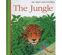 Jungle (My First Discoveries) - Christmas Wildlife Gift About Rainforest Animals Classic Edition: Volume 18