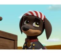 Jungle Pups: Pups Save the Meerkat Pirates / Jungle Pups: Pups Save a Hum-Hippo