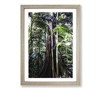 Jungle Rainforest (3) Framed Print | A2 Oak Framed Wall Art | Ready to Hang | Modern Landscape Picture | Living Room Bedroom Lounge Office
