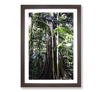Jungle Rainforest (3) Framed Print | A2 Walnut Framed Wall Art | Ready to Hang | Modern Landscape Picture | Living Room Bedroom Lounge Office
