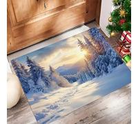 Jungle Snow Door Mats 45 X 75 Cm, Washable Indoor Doormat Tpr Non-Slip, Dirt Trapper Front Door Mat Inside, Natural Scenery Absorbent Entrance Rug For Entryway, Pets And Dogs - Light Blue