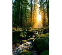 Jungle Sunshine Jigsaw Puzzles for Adults 500 Pieces Educational Toys Challenging Game 500 Piece Puzzles for Adults for The Whole for Women Gifts for Men