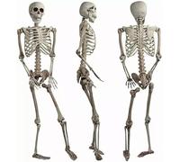 JUNHAO-SHOP Halloween Posable Skeleton - 170CM Realistic Life Size Human Skeleton Bones with Movable Joints for Halloween Haunted House Decoration (170CM)