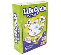 Junior Learning Life Cycle Puzzles | Educational Jigsaw Puzzle | Perfect addition to your Classroom and Home School Resource | Ages 4-8, Reception - Year 3