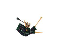 Junior Playable Bagpipes,Child Bagpipe/Kids Toy Bagpipe Free 2 Reeds with