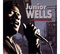 Junior Wells - The Best of the Vanguard Years