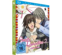 Junjo Romantica - 2. Staffel Vol. 1 - Limited Edition mit Sammelbox