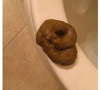 Junjun Poopy Toy, Realistic Brown Fake Poop, Floating April Fools' Day Prank, Perfect Gag Gift