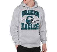 Junk Food Clothing x NFL - Team Helmet - Pro Football Adult Pullover Hooded Fleece Sweatshirt for Men and Women - Grey