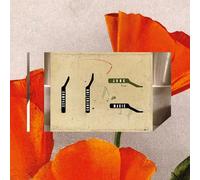 Junk Magic - Compass Confusion