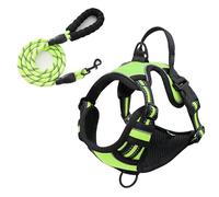 junweideyi No Pull Dog Harness Adjustable Reflective Oxford Easy Control Small Medium Large Dog Harness/Set (Green Set, XL)