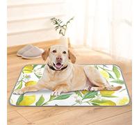 JUNZAN Dog Cooling Mat Lovely Lemon Tree 24'' x 39'' Summer Keep Cool Pad for Puppy Cats Breathable Cooling Blanket for Home Pet Crate Cages