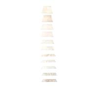 JunZheHub Decorative Set of 9 Trapezoidal Pearlescent Acrylic Guitar Markers, Smooth Edges, Ideal for Decorating The Fretboard, 11Pcs