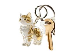 jupsjuice Cat Hair Keychain Keepsake | Cat Shape Clear Keyring - Clear Pet Hair Holder Keychain | for Collection Backpack Purse Wallet Schoolbag Handbag Decoration