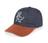 Jupsk Boys Baseball Cap Baby Sun Hat UV Protection Summer Bucket Hat Denim Dinosaur Beach Cap for Toddler Kids Children 3-8 Years
