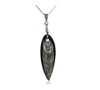 Jurassic Jewellery Beautiful Fossil Orthoceras Pendant - Boxed And on Sterling Silver Chain
