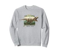Jurassic Parc Merch How to Survive T-Rex Encounter Sweatshirt