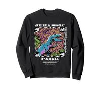 Jurassic Park 1993 Tour Jurassic Parc 2025 Sweatshirt
