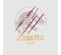 Jurassic Park Lost Control Women's T-Shirt - Grey - S