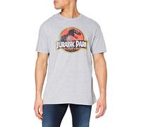 Jurassic Park Men's Distressed Logo T Shirt, Grey (Grey Marl SPO), L UK