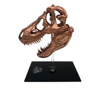 Jurassic Park Scaled Prop Replica T-Rex Skull - Factory Entertainment