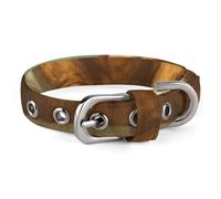 Jurassic Period Dinosaur Dog Collar Adjustable Soft and Comfortable Puppy Collars with Metal Buckle Pet Collar for Small Medium Pet