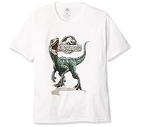 Jurassic World Boys 2 Blue Raptor Short Sleeve T-Shirt, White, Medium