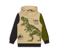Jurassic World Boys Dinosaur Hoodie - Official T-Rex Sweatshirt Jumper, 100% Cotton Pullover Top, Kids Clothing Ages 4-5 to 9-10 Years (5-6 Years) Khaki