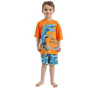 Jurassic World Boys Dinosaur Short Pyjamas Nightwear (Jurassic - Shorty, 5-6 Years)