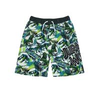 Jurassic World Boys Green Logo Swim Shorts - 8-9 Years
