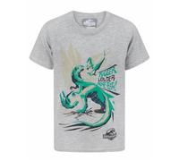 Jurassic World Boys Grey Dinosaur Short Sleeved T-Shirt - 3-4 Years