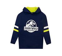 Jurassic World Boys Hoodie Blue 12-13 Years