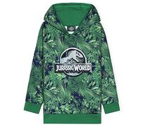 Jurassic World Boys Hoodies Dinosaur Hoodie Kids Teens (3-4 Years, Green)