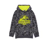 Jurassic World Childrens/Kids Hoodie