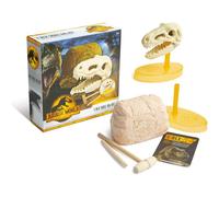 RMS International Jurassic World Dominion Dino Skull Dig, Multicolor, (93-0046)