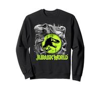 Jurassic World: Fallen Kingdom Dinosaur Collage Sweatshirt