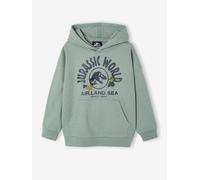 Jurassic World® Hooded Sweatshirt lichen