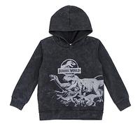 Jurassic World Jurassic Park Blue T-Rex Big Boys Fleece Pullover Hoodie Tie Dye Gray 10-12