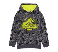 Jurassic World Logo Hoodie | Unisex Kids Grey | Official Merch | Size: 5-6 Years Jurassic World Grey 5-6 Years
