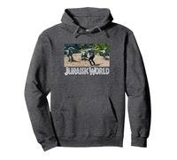 Jurassic World Owen Grady Velociraptor Trainer In The Cage Pullover Hoodie, Adult Unisex, Dark Heather Grey, Large