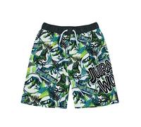 Jurassic World Swim Shorts for Boys | Kids Tyrannosaurus T Rex Dinosaur Swimming Trunks Pants | Children’s Green Swimwear 5-6 Years